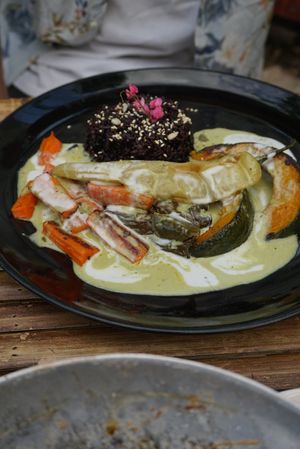Curry with black rice yummy at Street Vegan House in Koh Phangan
