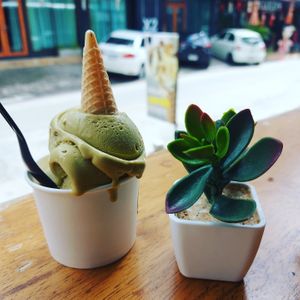 Pistachio gelato at 7 Senses Gelato Studio in Chiang Mai