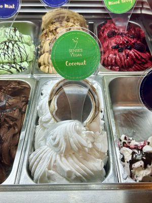 Coconut sorbet   at 7 Senses Gelato Studio in Chiang Mai