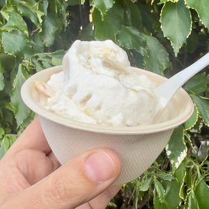 Coconut macadamia nut vegan ice cream   at Artisan Ice Cream by Cafe de Amis in Paia