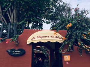 Entrance  at La Higuera de Abuela in El Hierro