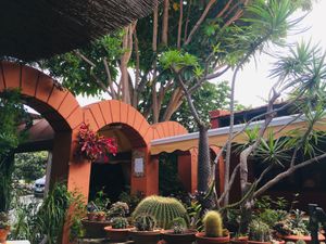 Patio  at La Higuera de Abuela in El Hierro