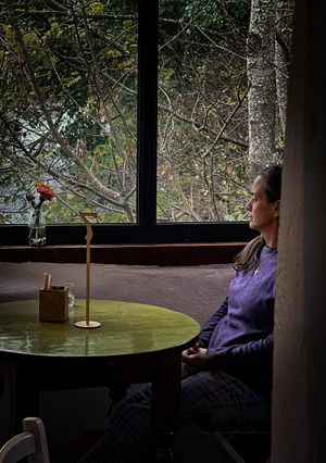 View at Lovage at the Gate Lodge Cafe in Boyle