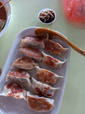 Guo tie at Yu Long Vegetarian - 玉龙素食 in Central Singapore