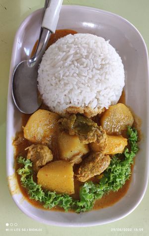 Aromatic Rendang Curry at Yu Long Vegetarian - 玉龙素食 in Central Singapore