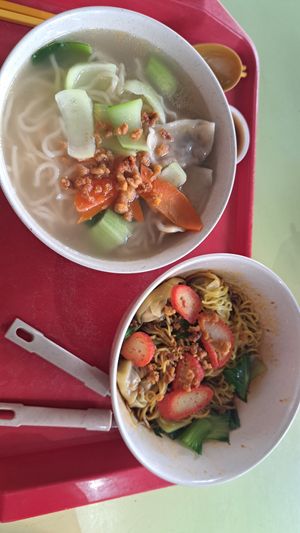 Dumpling Ramen soup and dry dumpling noodles at Yu Long Vegetarian - 玉龙素食 in Central Singapore
