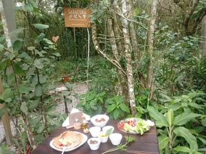 Quintal da Saracura at Saracura in Ilha Do Mel