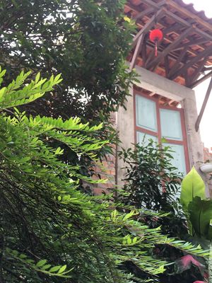 home plant at Nature Vegetarian Guest House in Malacca