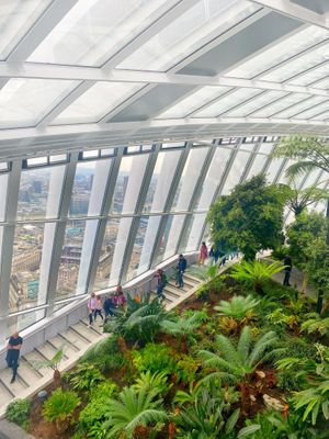 Het uitzicht!  at Darwin Brasserie - Sky Garden in London