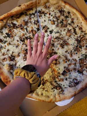 tried to use my hand for scale.... this is like an xxl pizza size lol at Pizza Flora in San Jose