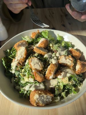   at Next Level Veggie Grill in Cambridge