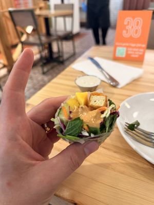 DANK  at Next Level Veggie Grill in Cambridge
