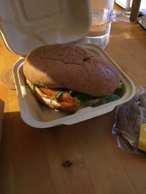 Buffalo chicken at Veggie Grill by Next Level in Cambridge