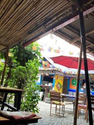 The garden  at French Creperie and Bar in Kathmandu