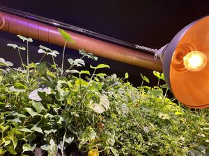 inside at Frittenwerk - Bergstraße in Hamburg