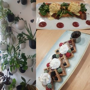 Brunch! Benny's and Waffles and a beautiful atmosphere 😁👌 at Down 2 Earth in Langley