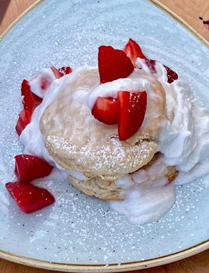  at Down 2 Earth in Langley