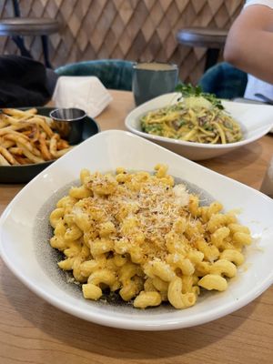   at Down 2 Earth in Langley