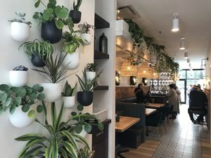 Plant wall and booths  at Down 2 Earth in Langley