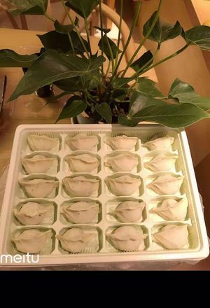 Vegetarian dumpling. at Zhui Xiang in Rizhao