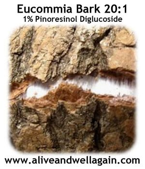 20:1 extract powder GMP, Vegan, Low back pain, cold legs, intolerance to cold, 1st trimester low back pain, fractured bones, calming the fetus, bleeding, impending miscarriage. etc at Alive & Well in Fort Mccoy
