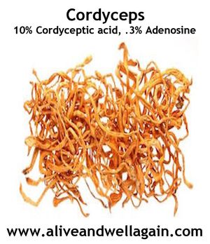 10% Cordyceptic acid, .3% adenosine, tonify kidney yang and augment jing, tonify the lung, stop bleeding, dissolve phlegm and kidney stones, etc at Alive & Well in Fort Mccoy