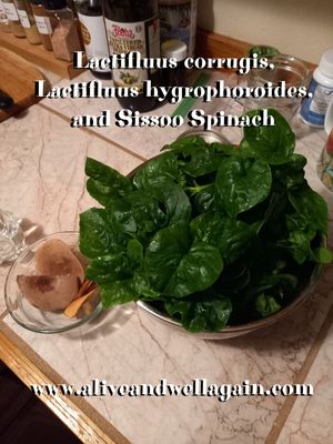  at Alive & Well in Fort Mccoy