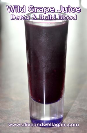  at Alive & Well in Fort Mccoy