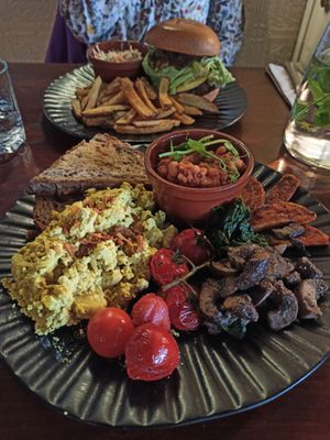 The Full Plant at Greens & Co in Galway