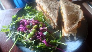 The salty veuben sandwich - EXTREMELY SALTY! 😤 at Greens & Co in Galway