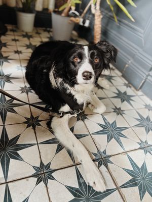   at Greens & Co in Galway