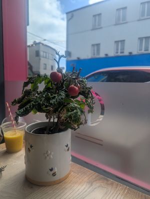  at Greens & Co in Galway