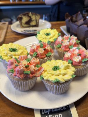 Vanilla Cupcakes  at Greens & Co in Galway