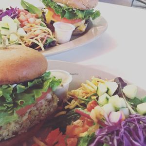 Quinoa burger & Black Bean burger with salad at Natural Sisters Cafe in Joshua Tree