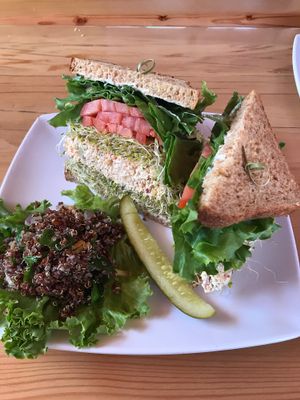 Best eggless sandwich ever at Natural Sisters Cafe in Joshua Tree