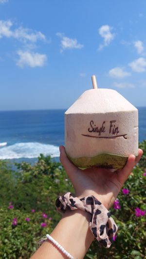 Nice coconut, but...  at Single Fin in Pecatu