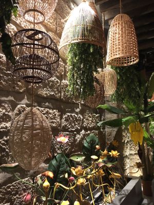 Deco  at Vegan House - Alaunstraße in Dresden