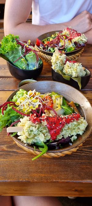 Vegan Bowls, Sommerrollen, Tofu Sticks at Vegan House - Alaunstraße in Dresden