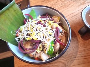 Bowl at Vegan House - Alaunstraße in Dresden