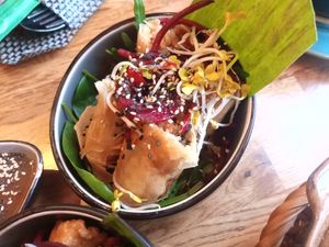 Spring rolls at Vegan House - Alaunstraße in Dresden