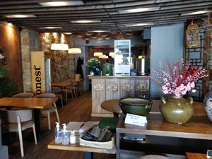 Spacey at Vegan House - Alaunstraße in Dresden