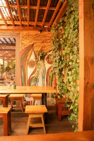 garden  at Vegan House - Alaunstraße in Dresden