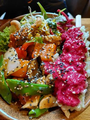  at Vegan House - Alaunstraße in Dresden