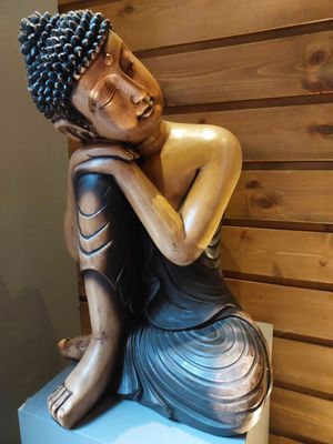  at Vegan House - Alaunstraße in Dresden