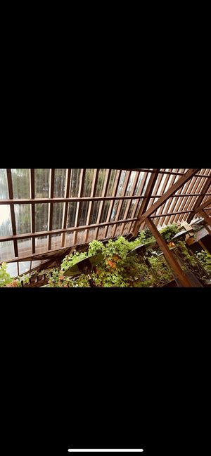   at Vegan House - Alaunstraße in Dresden