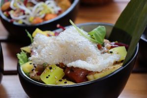  at Vegan House - Alaunstraße in Dresden