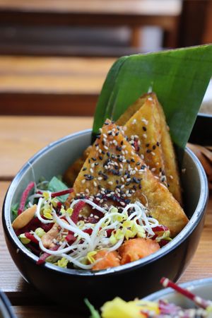  at Vegan House - Alaunstraße in Dresden