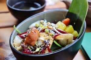  at Vegan House - Alaunstraße in Dresden