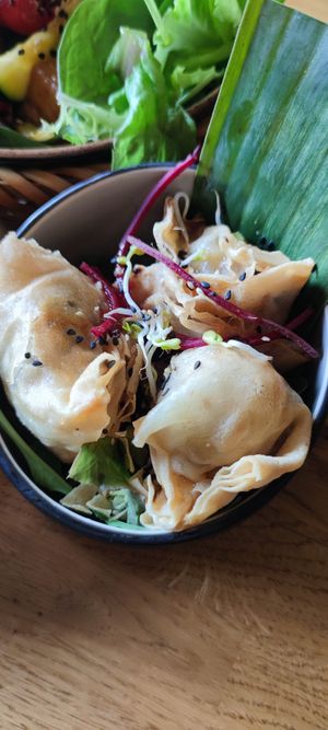  at Vegan House - Alaunstraße in Dresden