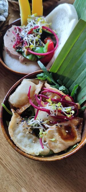  at Vegan House - Alaunstraße in Dresden